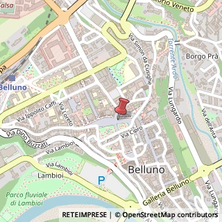 Mappa Piazza dei Martiri, 52, 32100 Belluno, Belluno (Veneto)
