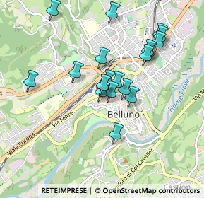 Mappa Via Loreto, 32100 Belluno BL, Italia (0.7755)