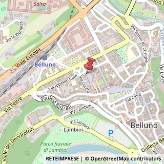 Mappa Via Ippolito Caffi, 15, 32100 Belluno, Belluno (Veneto)