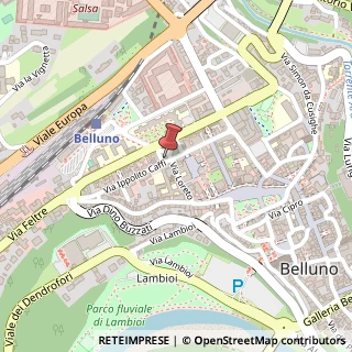 Mappa Via caffi ippolito 111, 32100 Belluno, Belluno (Veneto)
