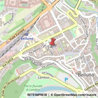 Mappa Via Loreto, 24, 32100 Belluno, Belluno (Veneto)