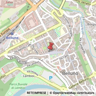 Mappa Piazza dei Martiri, 31, 32100 Belluno, Belluno (Veneto)