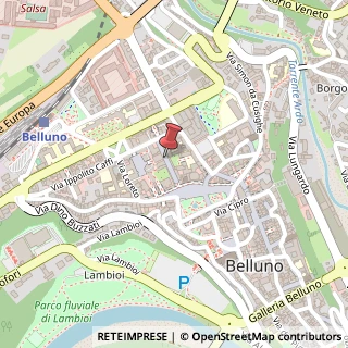 Mappa Via Rodolfo Psaro, 32, 32100 Belluno, Belluno (Veneto)