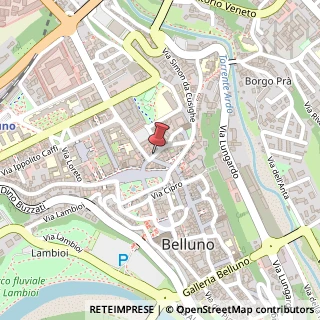 Mappa Via Carrera, 36, 32100 Belluno, Belluno (Veneto)