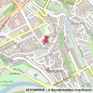 Mappa Via Carrera, 38, 32100 Belluno, Belluno (Veneto)