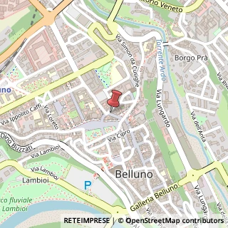 Mappa Via Sebastiano Ricci, 8, 32100 Belluno, Belluno (Veneto)