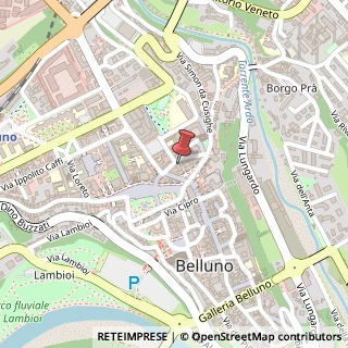 Mappa Via Carrera, 15, 32100 Belluno, Belluno (Veneto)