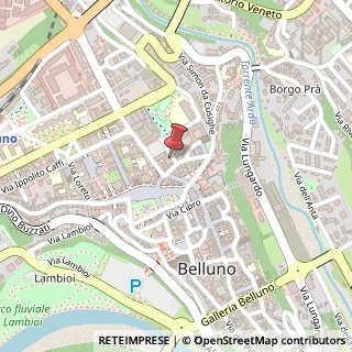 Mappa Via Zuppani Luigi, 5, 32100 Belluno, Belluno (Veneto)