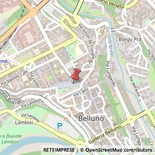 Mappa Piazza dei Martiri, 55, 32100 Belluno, Belluno (Veneto)