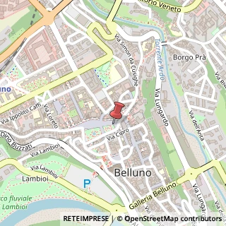 Mappa Piazza dei Martiri, 2, 32100 Belluno, Belluno (Veneto)