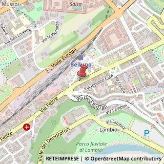 Mappa Via Cavour, 55, 32100 Belluno, Belluno (Veneto)