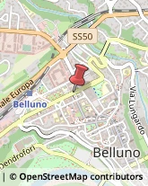 Via Gerolamo Segato, 11,32100Belluno