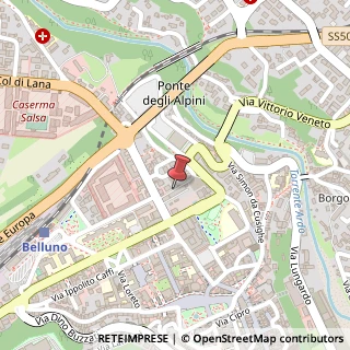 Mappa Viale Giuseppe Fantuzzi, 8/C, 32100 Belluno, Belluno (Veneto)