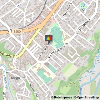 Amministrazioni Immobiliari Belluno,32100Belluno