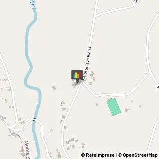 Palestre e Centri Fitness,03025Frosinone