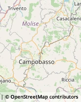 Autotrasporti Campobasso,86100Campobasso