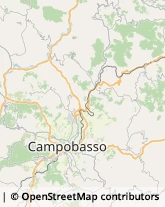 Autotrasporti Ripalimosani,86025Campobasso