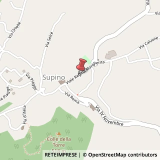 Mappa Viale Regina Margherita, 48, 03019 Supino, Frosinone (Lazio)