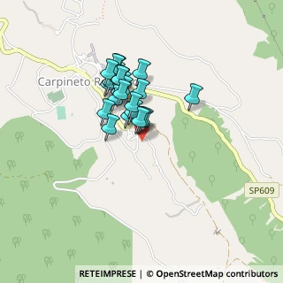 Mappa Via San Sebastiano, 00032 Carpineto Romano RM, Italia (0.344)