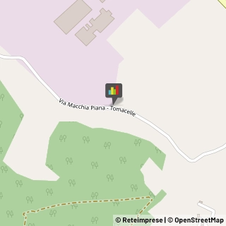 Articoli Sportivi - Produzione Patrica,03010Frosinone