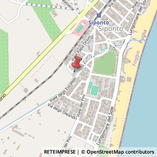 Mappa Viale San Giustino, 91, 71043 Manfredonia, Foggia (Puglia)