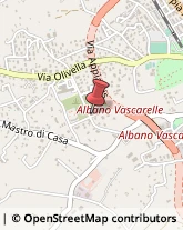 Via di Muro Bianco, 7,00041Albano Laziale