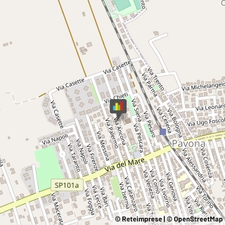 Feste - Organizzazione e Servizi Albano Laziale,00041Roma