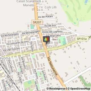 Podologia - Studi e Centri Castel Gandolfo,00040Roma