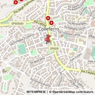 Mappa Via Andrea Costa, 14, 00034 Colleferro, Roma (Lazio)