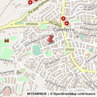 Mappa Via Francesco Petrarca, 53, 00034 Colleferro, Roma (Lazio)