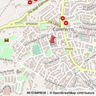 Mappa Via Francesco Petrarca, 21, 00034 Colleferro, Roma (Lazio)