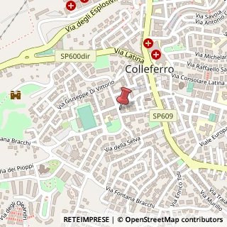 Mappa Via Francesco Petrarca, 17, 00034 Colleferro, Roma (Lazio)