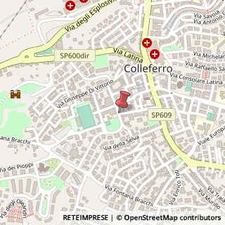 Mappa Via Vincenzo Monti,  2, 00034 Colleferro, Roma (Lazio)