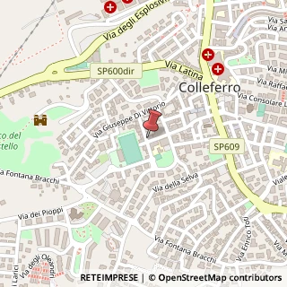 Mappa Via Francesco Petrarca, 71/a, 00034 Colleferro, Roma (Lazio)