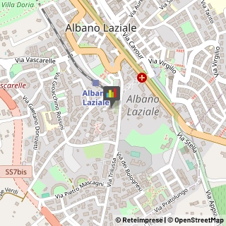 Veterinaria - Ambulatori e Laboratori Albano Laziale,00041Roma