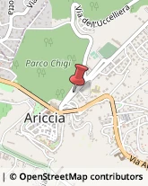 Viale Antonio Chigi, 3,00040Ariccia