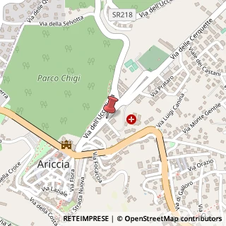 Mappa Viale Antonietta Chigi, 5, 00040 Ariccia, Roma (Lazio)
