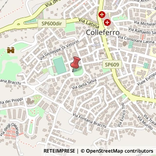 Mappa Largo Boccaccio, 4, 00034 Colleferro, Roma (Lazio)