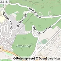 Map Albano Laziale