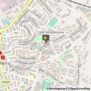 Fisiokinesiterapia - Medici Specialisti,00034Roma