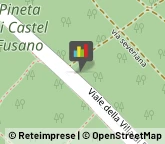 Corpo Forestale Roma,00124Roma