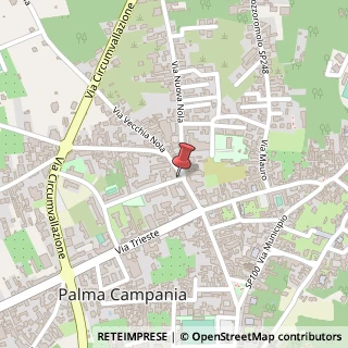 Mappa Via Nuova Nola, 58, 80036 Palma Campania, Napoli (Campania)