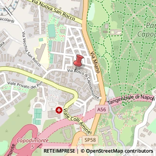 Mappa Via Bosco di Capodimonte, 44, 80131 Napoli, Napoli (Campania)