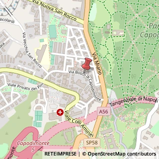 Mappa Via Bosco di Capodimonte,  37, 80131 Napoli, Napoli (Campania)