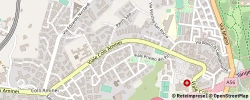 Mappa Napoli