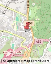 Via Bosco di Capodimonte, 77,80131Napoli