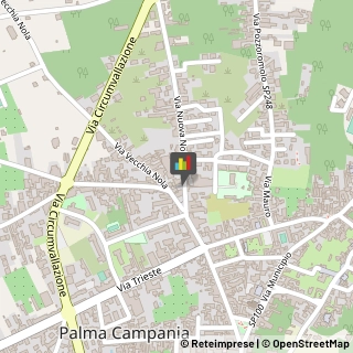 Borse - Produzione e Ingrosso Palma Campania,80036Napoli
