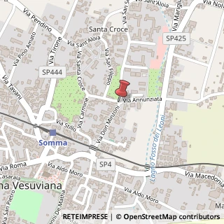 Mappa Via Don Minzoni,  49, 80049 Somma Vesuviana, Napoli (Campania)