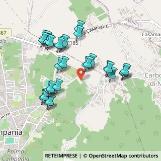 Mappa Via San Martino, 80036 Palma Campania NA, Italia (0.51)