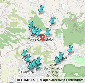 Mappa Via Vicinale Soffritto, 80016 Marano di Napoli NA, Italia (1.091)